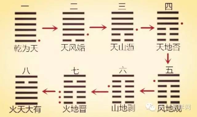 盲师郝金阳先生的八字为何失明